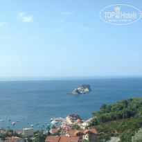 фото из отзыва ID 768056