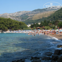 фото из отзыва ID 768056