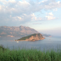 фото из отзыва ID 768056