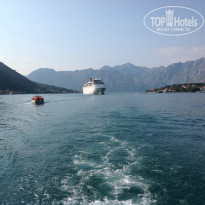 фото из отзыва ID 768056