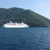 фото из отзыва ID 768056