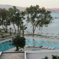 фото из отзыва ID 768202