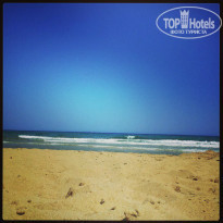 фото из отзыва ID 768262