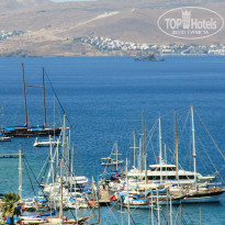 фото из отзыва ID 768401