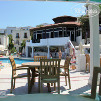 фото из отзыва ID 768401