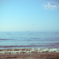 фото из отзыва ID 768487