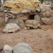 фото из отзыва ID 768712