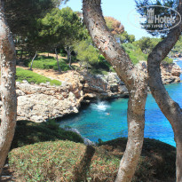 фото из отзыва ID 768951