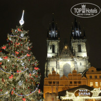 фото из отзыва ID 768983