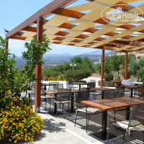 фото из отзыва ID 768376