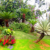 фото из отзыва ID 769092