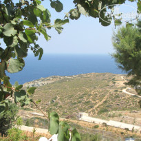 фото из отзыва ID 769291