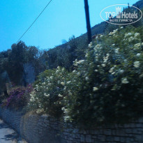 фото из отзыва ID 769306