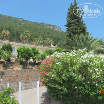 фото из отзыва ID 769306