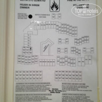 фото из отзыва ID 769464