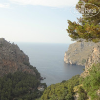 фото из отзыва ID 769524