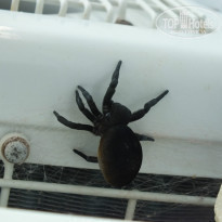 фото из отзыва ID 769678