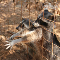 фото из отзыва ID 769684