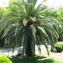 фото из отзыва ID 769909