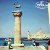 фото из отзыва ID 769944