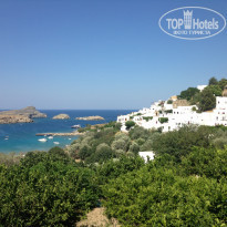 фото из отзыва ID 769944