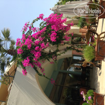 фото из отзыва ID 769944