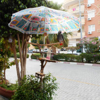 фото из отзыва ID 769834