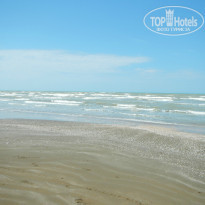 фото из отзыва ID 770078