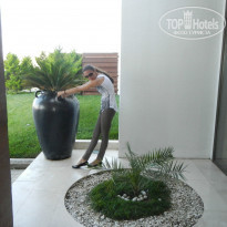 фото из отзыва ID 770078