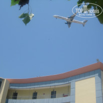 фото из отзыва ID 770302