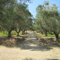 фото из отзыва ID 770486