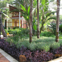 фото из отзыва ID 770590