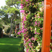 фото из отзыва ID 770590