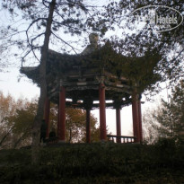 фото из отзыва ID 770951