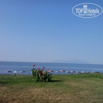 фото из отзыва ID 771007