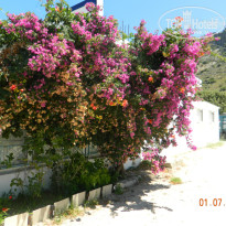 фото из отзыва ID 771082