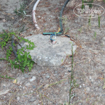 фото из отзыва ID 771140