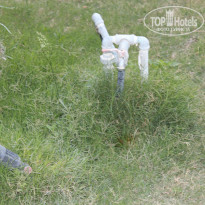 фото из отзыва ID 771140