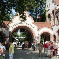 фото из отзыва ID 771535