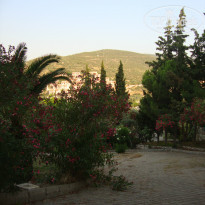 фото из отзыва ID 771546