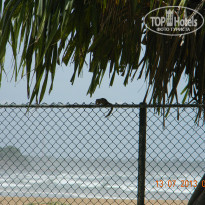 фото из отзыва ID 771685