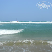 фото из отзыва ID 771854