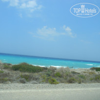 фото из отзыва ID 771854