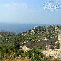 фото из отзыва ID 771854