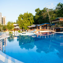 фото из отзыва ID 771855