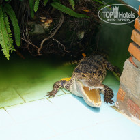 фото из отзыва ID 771864