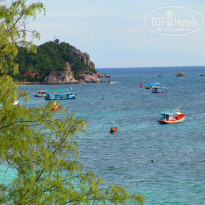 фото из отзыва ID 771877