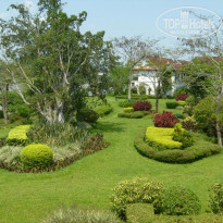 фото из отзыва ID 77124