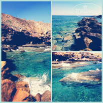 фото из отзыва ID 772054