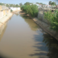 фото из отзыва ID 772077